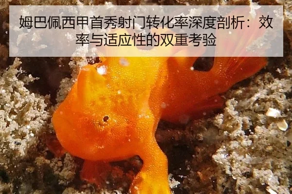 mu-ba-pei-xi-jia-shou-xiu-she-men-zhuan-hua-lv-shen-du-pou-xi-xiao-lv-yu-shi-ying-xing-de-shuang-chong-kao-yan-3-645.jpg